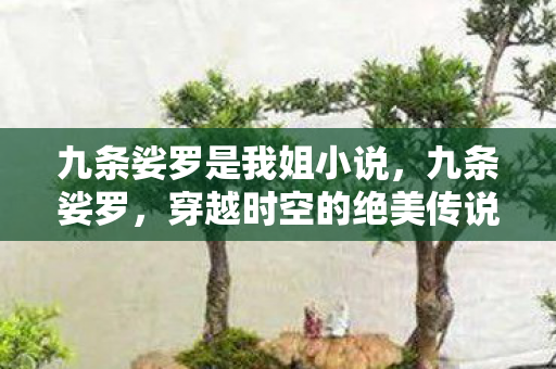 九条娑罗是我姐小说，九条娑罗，穿越时空的绝美传说
