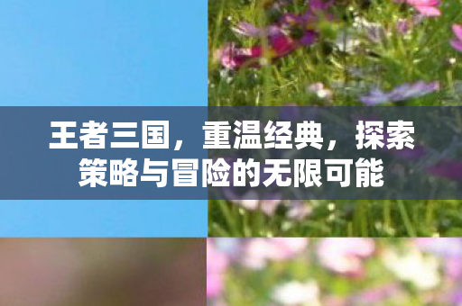王者三国，重温经典，探索策略与冒险的无限可能