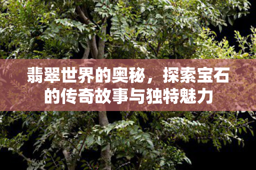 翡翠世界的奥秘,探索宝石的传奇故事与独特魅力 翡翠世界的奥秘,探索宝石的传奇故事与独特魅力