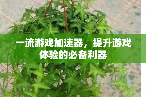 一流游戏加速器，提升游戏体验的必备利器