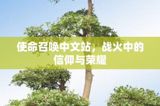 使命召唤中文站，战火中的信仰与荣耀