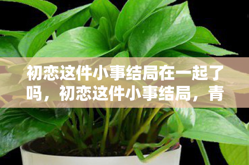 初恋这件小事结局在一起了吗，初恋这件小事结局，青春的记忆与成长的启示