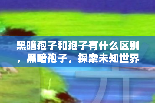 黑暗孢子和孢子有什么区别，黑暗孢子，探索未知世界的神秘之旅