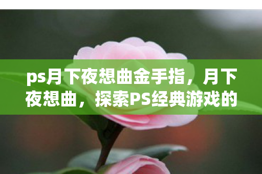 ps月下夜想曲金手指，月下夜想曲，探索PS经典游戏的音乐与情感之旅