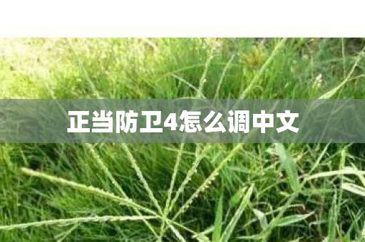 正当防卫4怎么调中文 正当防卫4怎么调中文