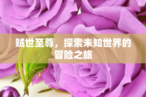 贼世至尊，探索未知世界的冒险之旅