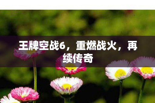 王牌空战6，重燃战火，再续传奇