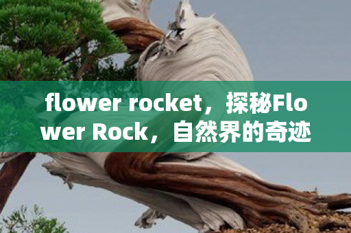 flower rocket，探秘Flower Rock，自然界的奇迹与人类的艺术融合