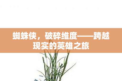 蜘蛛侠，破碎维度——跨越现实的英雄之旅
