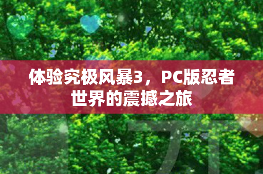 体验究极风暴3，PC版忍者世界的震撼之旅