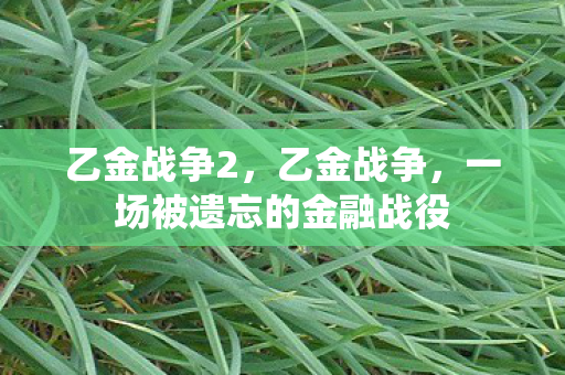 乙金战争2,乙金战争,一场被遗忘的金融战役 乙金战争2,乙金战争,一场被遗忘的金融战役