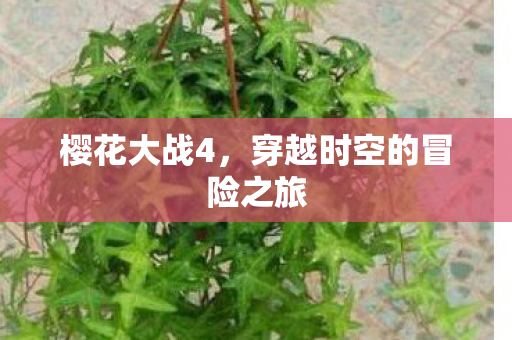 樱花大战4，穿越时空的冒险之旅