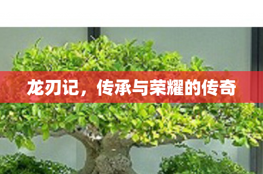 龙刃记，传承与荣耀的传奇