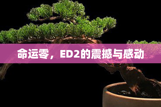 命运零，ED2的震撼与感动