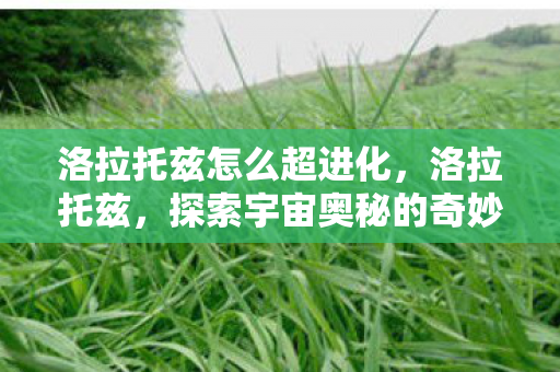 洛拉托兹怎么超进化,洛拉托兹,探索宇宙奥秘的奇妙之旅 洛拉托兹怎么超进化,洛拉托兹,探索宇宙奥秘的奇妙之旅