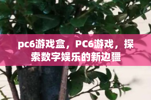 pc6游戏盒，PC6游戏，探索数字娱乐的新边疆