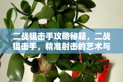 二战狙击手攻略秘籍，二战狙击手，精准射击的艺术与策略