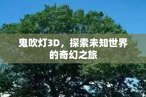 鬼吹灯3D，探索未知世界的奇幻之旅