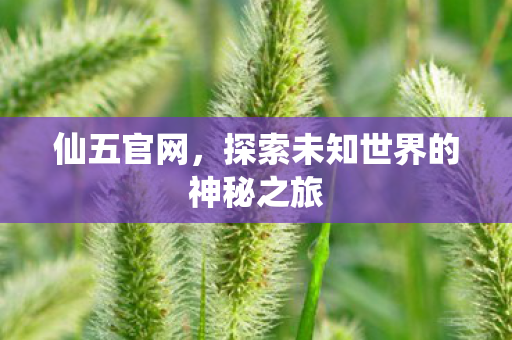 仙五官网,探索未知世界的神秘之旅 仙五官网,探索未知世界的神秘之旅