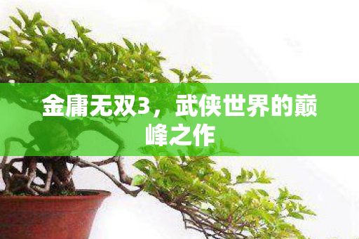 金庸无双3，武侠世界的巅峰之作