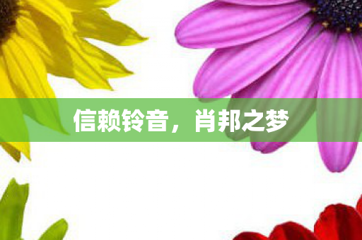 信赖铃音，肖邦之梦