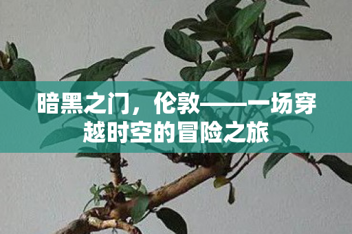 暗黑之门，伦敦——一场穿越时空的冒险之旅