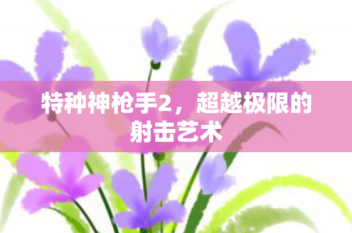 特种神枪手2，超越极限的射击艺术