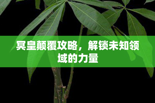 冥皇颠覆攻略，解锁未知领域的力量