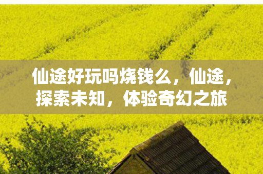 仙途好玩吗烧钱么，仙途，探索未知，体验奇幻之旅