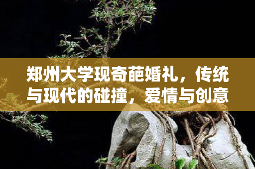郑州大学现奇葩婚礼，传统与现代的碰撞，爱情与创意的交融