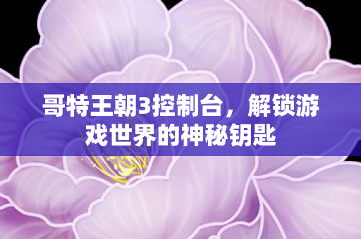 哥特王朝3控制台，解锁游戏世界的神秘钥匙