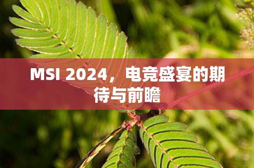 MSI 2024，电竞盛宴的期待与前瞻