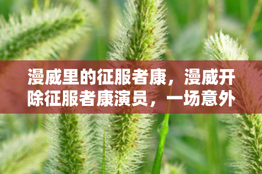 漫威里的征服者康，漫威开除征服者康演员，一场意外的风暴