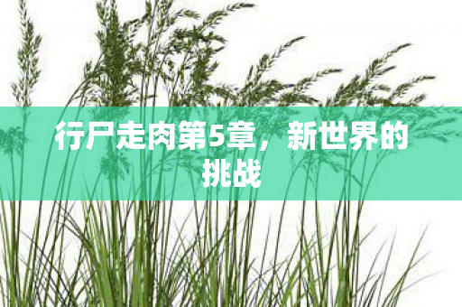 行尸走肉第5章，新世界的挑战