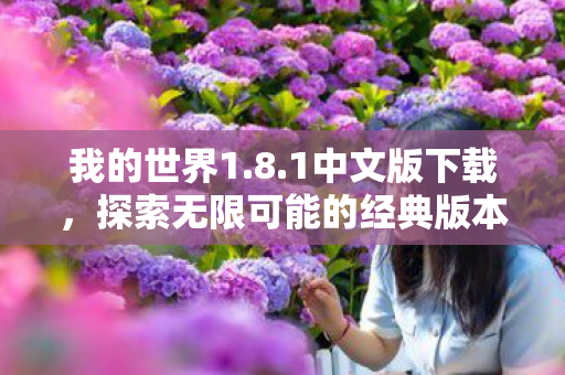 我的世界1.8.1中文版下载,探索无限可能的经典版本 我的世界1.8.1中文版下载,探索无限可能的经典版本
