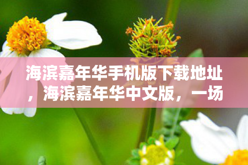 海滨嘉年华手机版下载地址，海滨嘉年华中文版，一场梦幻般的海滨盛宴