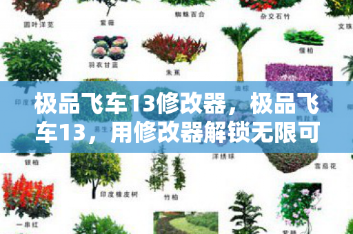 极品飞车13修改器，极品飞车13，用修改器解锁无限可能