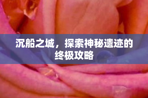沉船之城,探索神秘遗迹的终极攻略 沉船之城,探索神秘遗迹的终极攻略