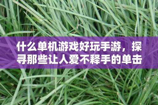 什么单机游戏好玩手游,探寻那些让人爱不释手的单击游戏 什么单机游戏好玩手游,探寻那些让人爱不释手的单击游戏