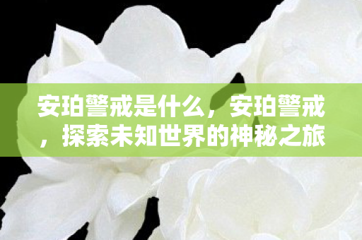 安珀警戒是什么，安珀警戒，探索未知世界的神秘之旅