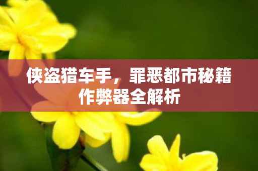 侠盗猎车手，罪恶都市秘籍作弊器全解析