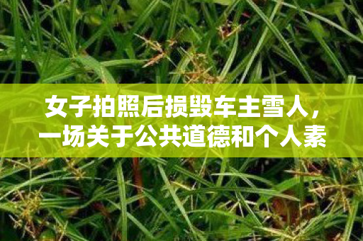 女子拍照后损毁车主雪人，一场关于公共道德和个人素质的讨论