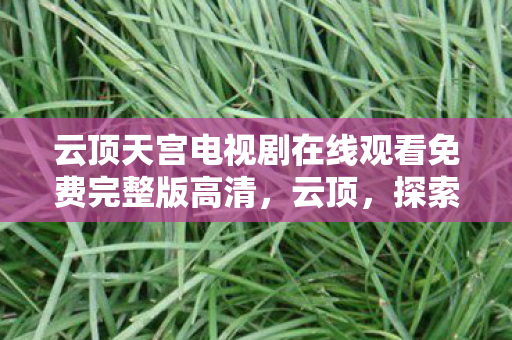 云顶天宫电视剧在线观看免费完整版高清，云顶，探索数字时代的巅峰