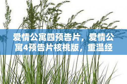 爱情公寓四预告片，爱情公寓4预告片核桃版，重温经典，再续前缘