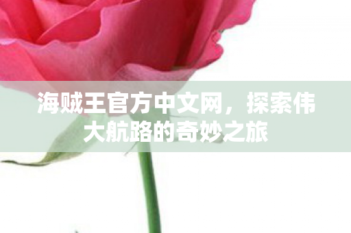 海贼王官方中文网，探索伟大航路的奇妙之旅