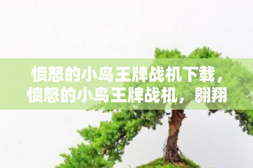 愤怒的小鸟王牌战机下载，愤怒的小鸟王牌战机，翱翔天际的激情对决