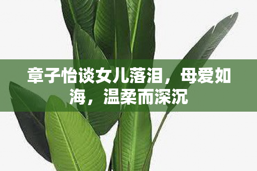 章子怡谈女儿落泪，母爱如海，温柔而深沉