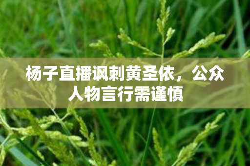 杨子直播讽刺黄圣依，公众人物言行需谨慎