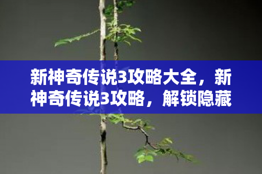 新神奇传说3攻略大全，新神奇传说3攻略，解锁隐藏关卡与角色，提升战力指南