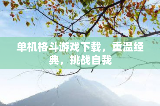 单机格斗游戏下载，重温经典，挑战自我
